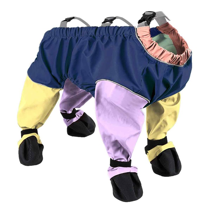 Pantaloni pentru caini, Enforose, impermeabili, antiderapanti, multicolor, 17x15x7cm