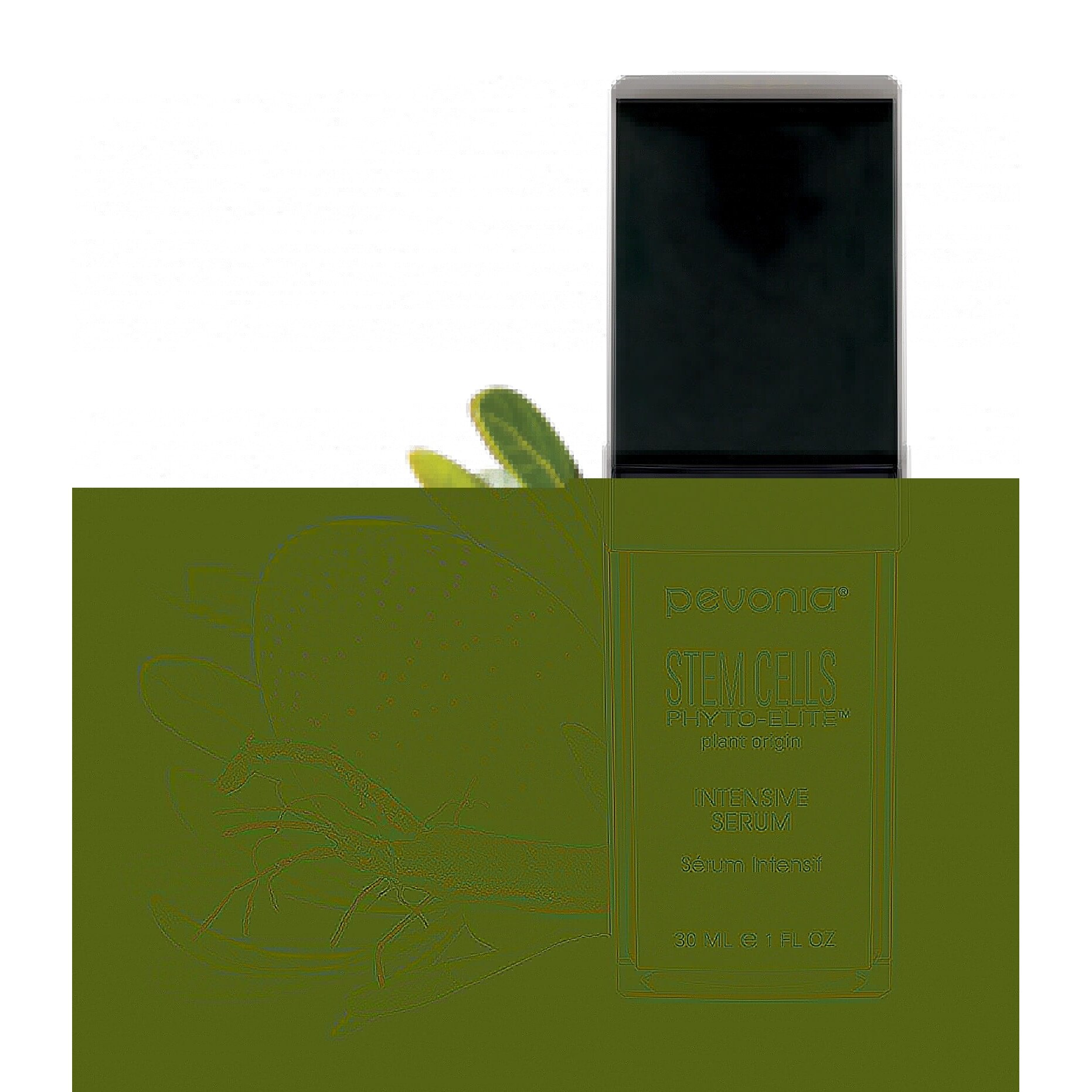 Stem Cells Intensive Serum-Pevonia 30ml