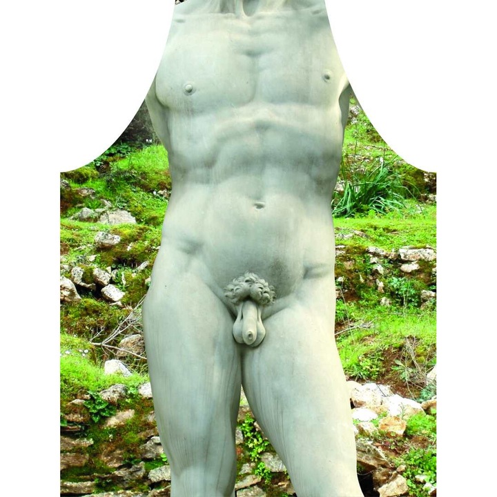 Sorturi bucatarie si gratar, nr 25, plamoodporne, 50x70cm, multicolor