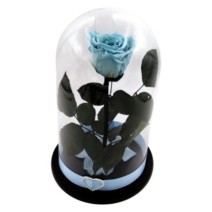 Trandafir criogenat, albastru deschis, pe pat de petale, in cupola medie de sticla cu baza neagra