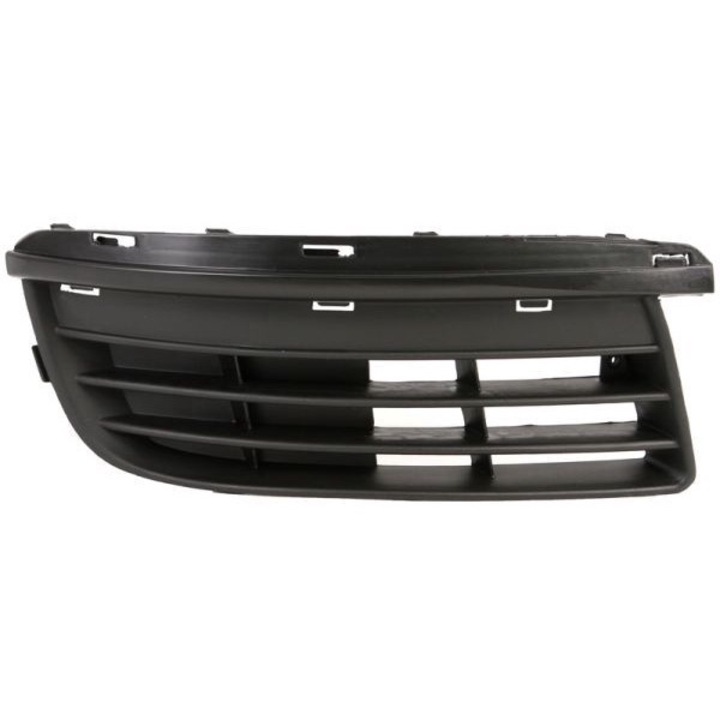 Grila ventilatie, bara protectie BLIC VG170000G-1R00 compatibil VW GOLF V (1K1) 2003–2010