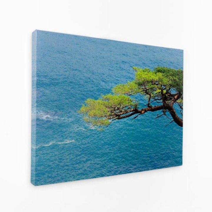 Картина на платно - Клони на дърво, подаващи се към водата - 120x80 см