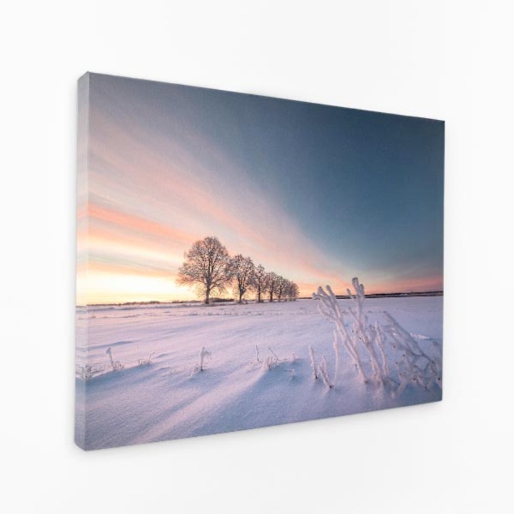 Картина на платно - Покрито със сняг поле при залез със замръзнали клони - 40x60 cm