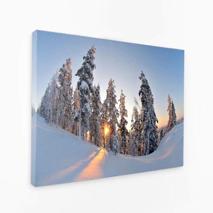 Картина на платно - Дървета в сняг Слънце зад тях - 120x80 cm