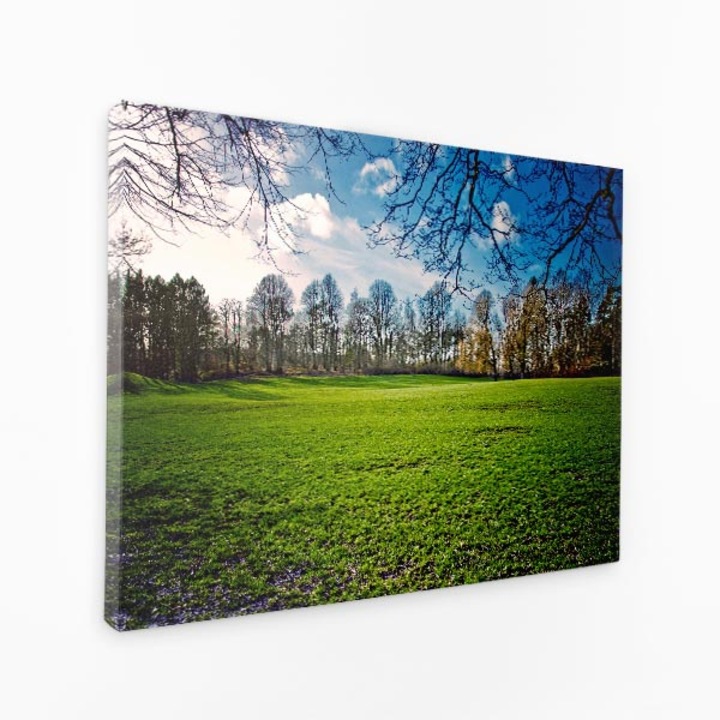Картина на платно - Зелено поле с трева в горска сянка - 120x80 cm