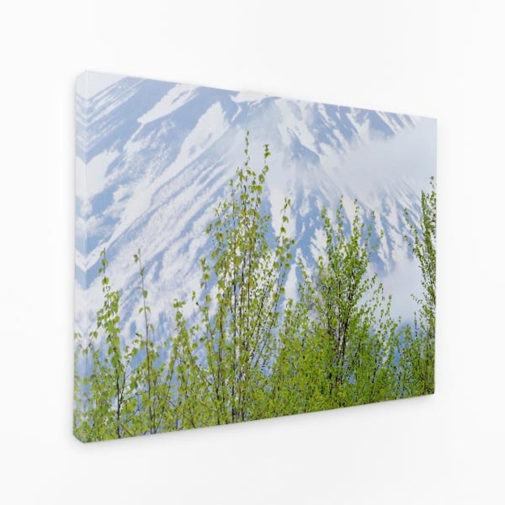 Картина на платно - Снежна планина, зелени листа, небе - 140x90 см