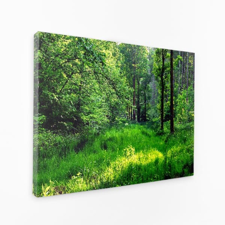 Картина на платно - Слънце в гората, зелена трева, сенки - 100x70 см