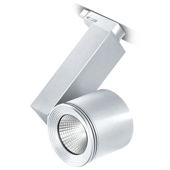 Spot LED pe Sina 30W, Braytron, 2600lm, Lumina Calda (3000K), Alb