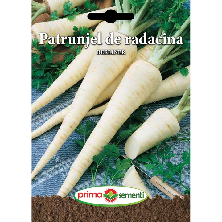 Seminte patrunjel de radacina Berliner, 5 gr, Prima Sementi