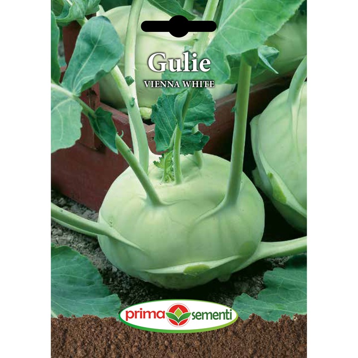 Семена ряпа Виена Бяла, 5 гр, Prima Sementi