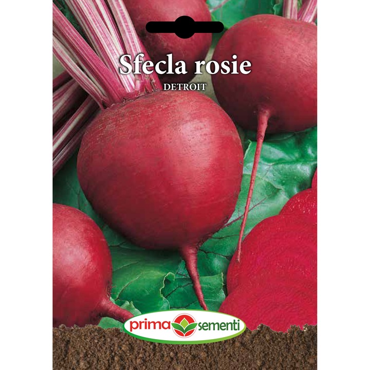 Seminte sfecla rosie Detroit, 5 gr, Prima Sementi