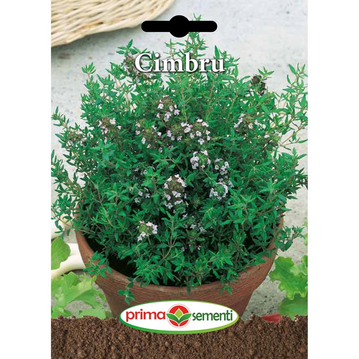 Seminte cimbru, 0.6 gr, Prima Sementi