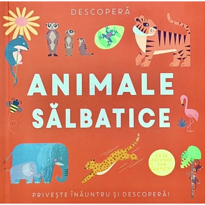 Descopera. Animale salbatice - Flamingo