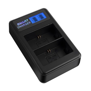 Acumulatori si incarcatoare dedicate