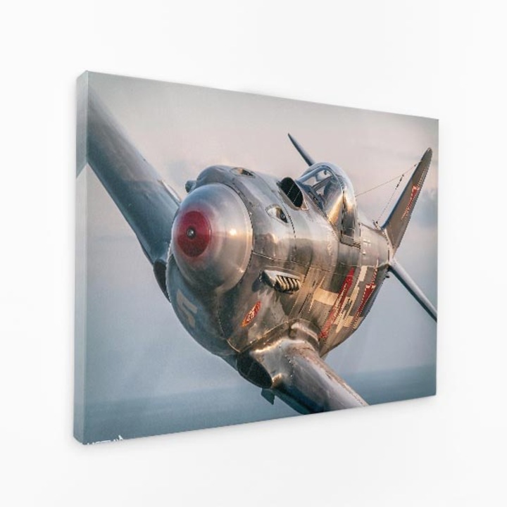 Картина на платно - Лети Сребърен самолет Небе Въздух - 40x60 см