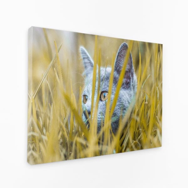 Картина върху платно - Сиво коте се крие в трева - 100x70 см