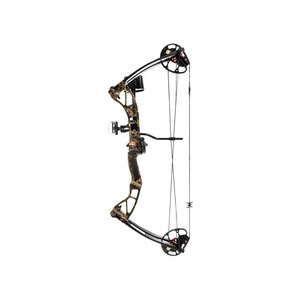 Arme sporturi de precizie