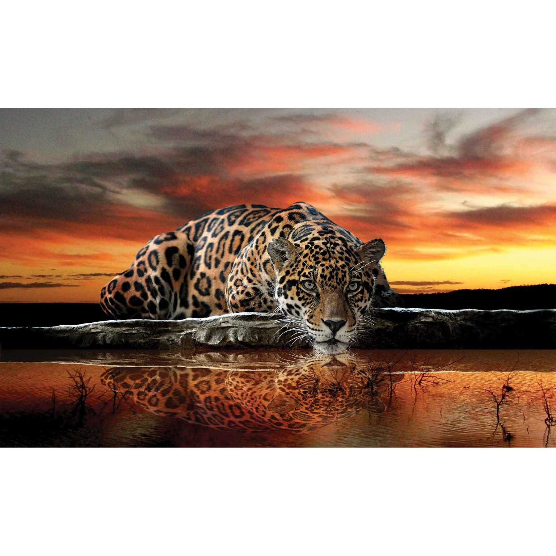 Fototapet DEGRETS 83590 Leopard 2 184x254cm