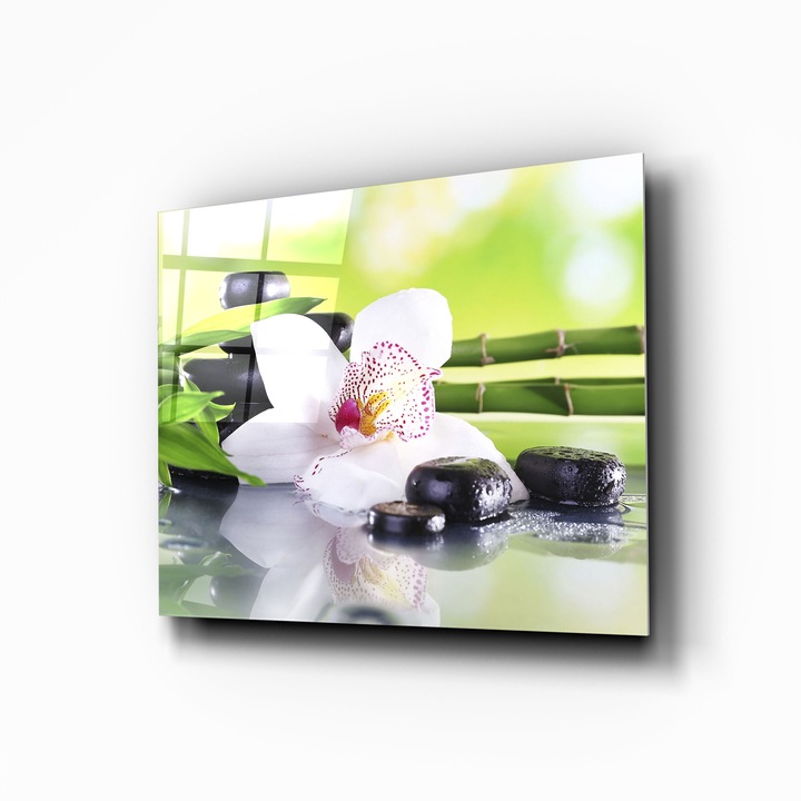 Panou/Contrablat Sticla Securizata Bucatarie, oct227 70x55cm