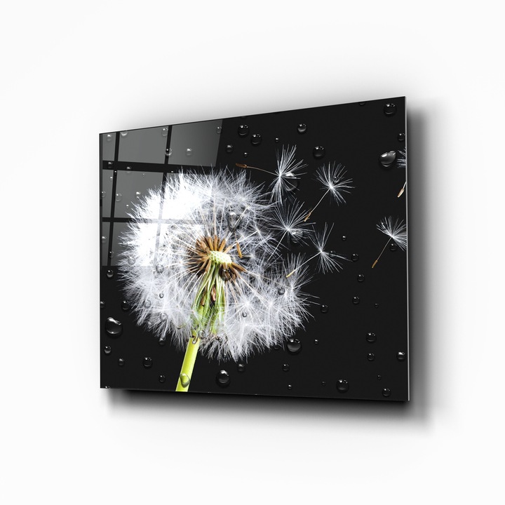 Panou/Contrablat Sticla Securizata Bucatarie, oct240 70x55cm