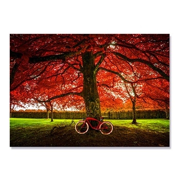 Tablou Canvas - Natura, Toamna, Bicicleta Rosie 60 x 80 cm Tablou Canvas - Natura, Toamna, Bicicleta Rosie 60 x 80 cm