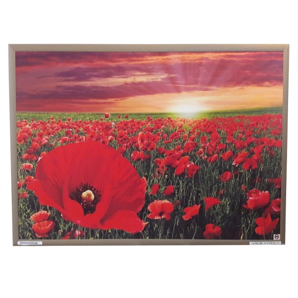 Panou Radiant Dragus 1100w (850w) IMAGINE MACI, inalta calitate + TERMOSTAT