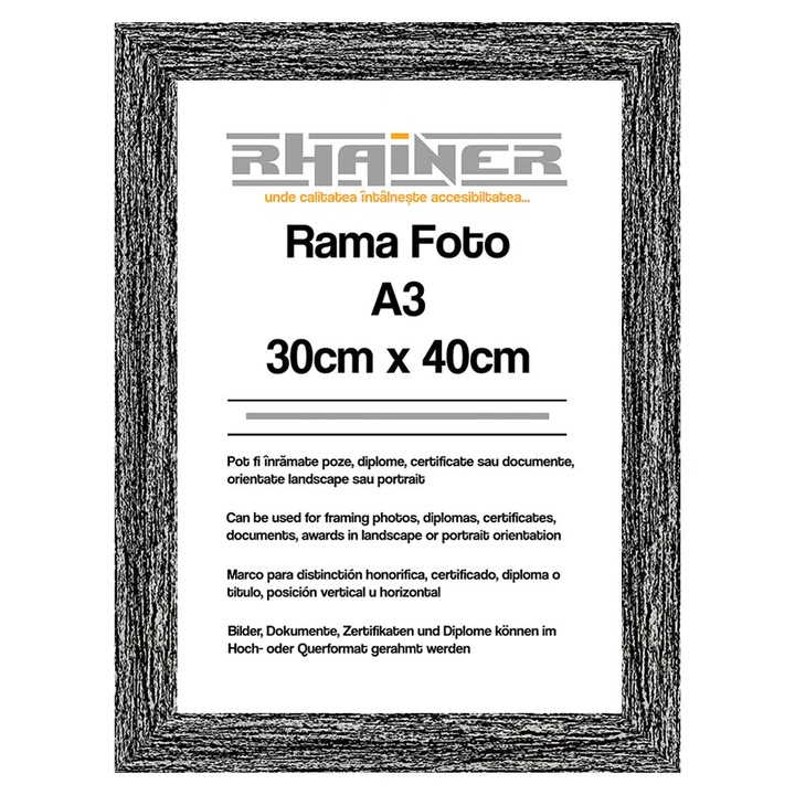 Rama foto Leon negru A3, Createur