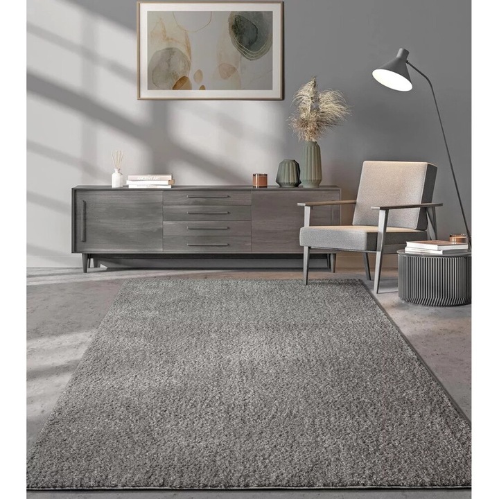 Modern szőnyeg Sacramento (Gray) 160x230cm Szürke