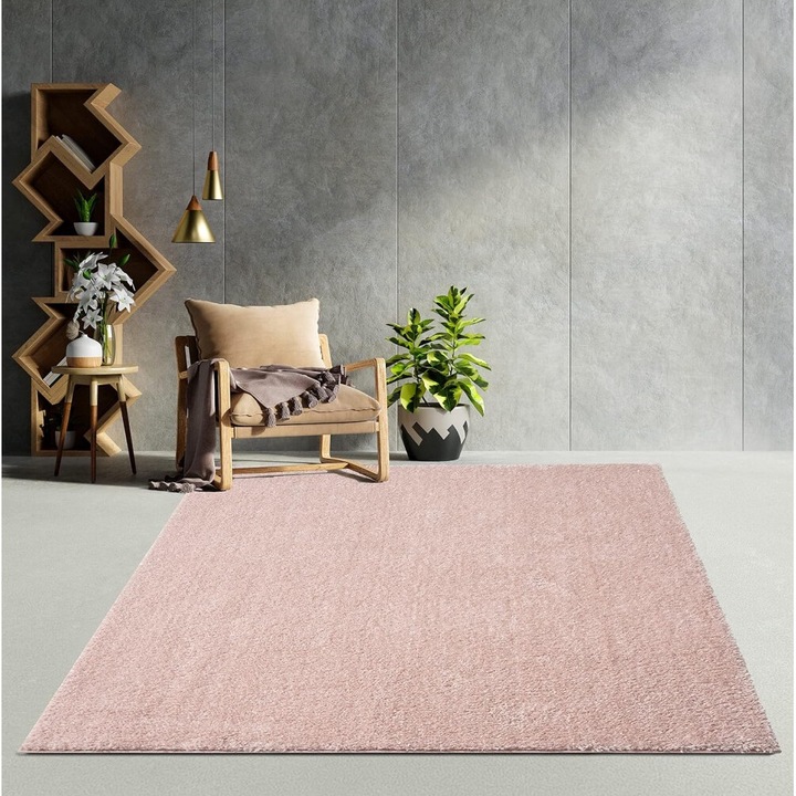Modern szőnyeg Sacramento (Rose) 160x230cm Púder