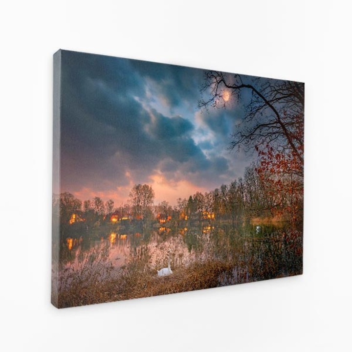 Картина на платно - Лебед на езеро по здрач с луна в небето - 70x50 см