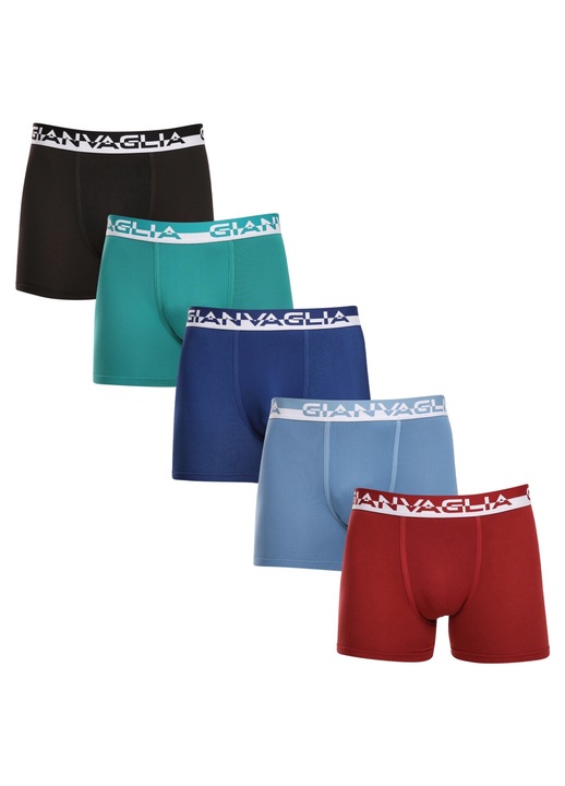 Set 5 perechi boxeri barbati GVG-5011, Gianvaglia, Sintetic, Multicolor