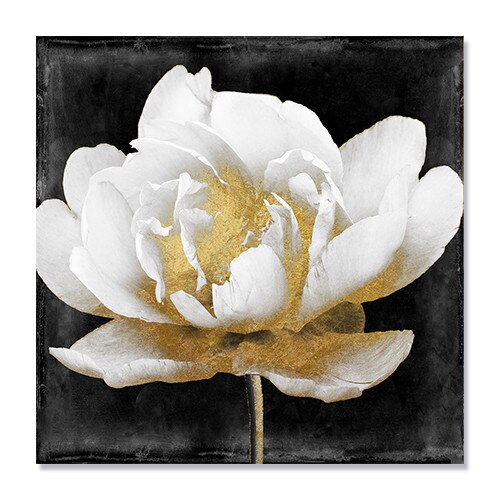 Tablou Canvas - Flori, Bujor Alb, 100 x 100 cm