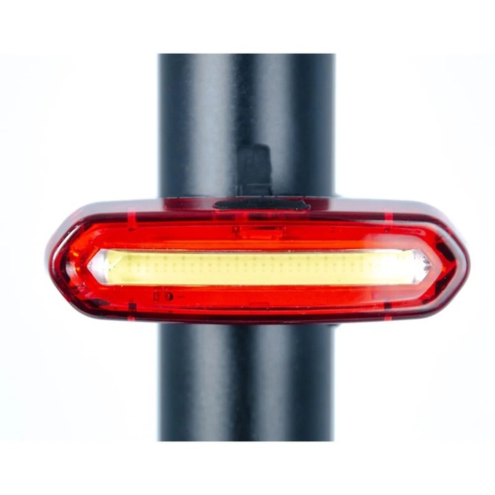 Stop spate electric Asistan R300 USB