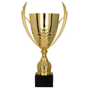 Cupe, trofee si medalii