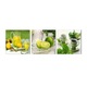 Set 3 tablouri canvas cu fructe, decor modern pentru bucatarie si living, multicolor, 53x5x5cm
