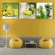 Set 3 tablouri canvas cu fructe, decor modern pentru bucatarie si living, multicolor, 53x5x5cm