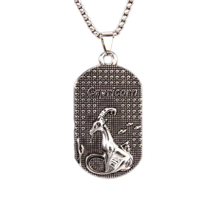 Kos csillagjegy medál rozsdamentes acél lánccal, Lucky Constellation Punk Street Fashion személyiségstílus, Dog tag, katonai cédula, 70 cm