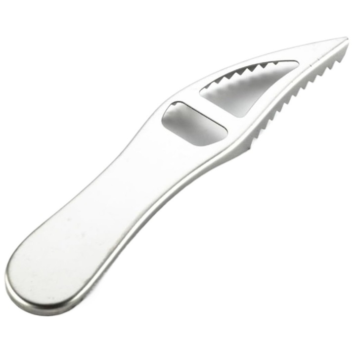 Curatator pentru solzi de peste, otel inoxidabil, Depozitare convenabila, ergonomica, multifunctionala, usor de utilizat, usor de curatat, culoare argintie, 19.4x4cm