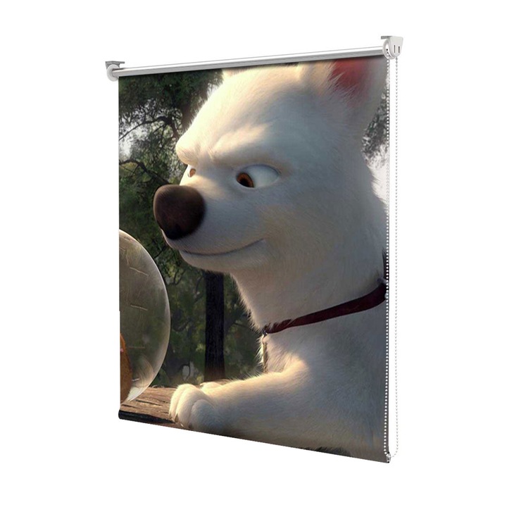 Rolete Art Shade Multicolore tip Jaluzele cu Rulou si sistem inclus Rhino si Rolt Decoratiuni, Latime 55 cm x Inaltime 250 cm