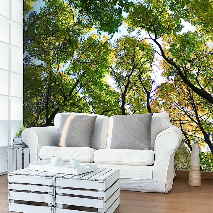 Fotótapéta - A fák árnyékában 400x309