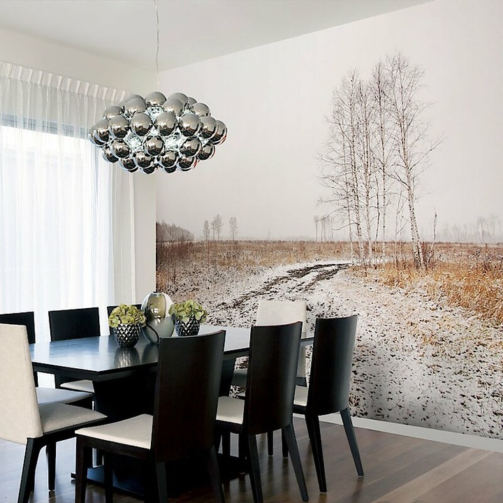 Fotótapéta - A mező télen 350x270