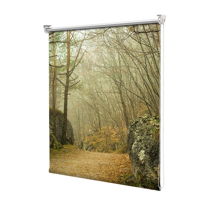 Rolete Art Shade Multicolore tip Jaluzele cu Rulou si sistem inclus Carare in padure toamna Decoratiuni, Latime 75 cm x Inaltime 250 cm