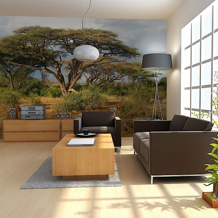 Fotótapéta - Kenya 400x309