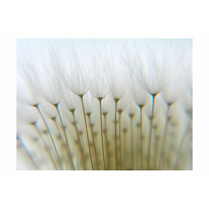 Fotótapéta - A nagy tábla 400x309