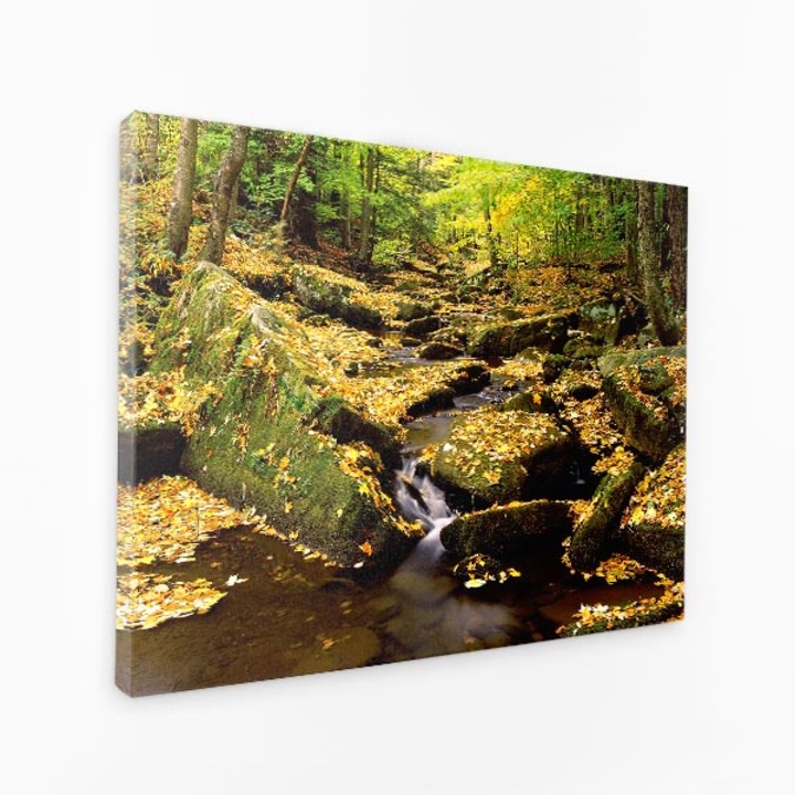 Három darabos Tabouri vászonkép szett - Fall Of Leaves Stream Nature Autumn - 150x100 cm