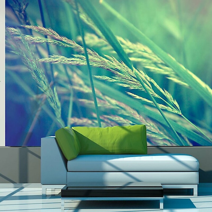 Fotótapéta - Rét 350x270