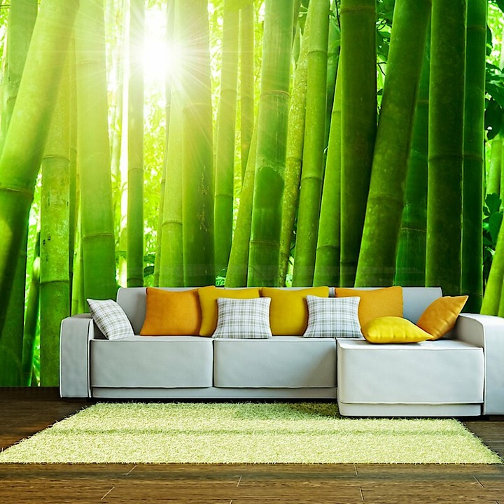 Fotótapéta - Nap és bambusz 400x309