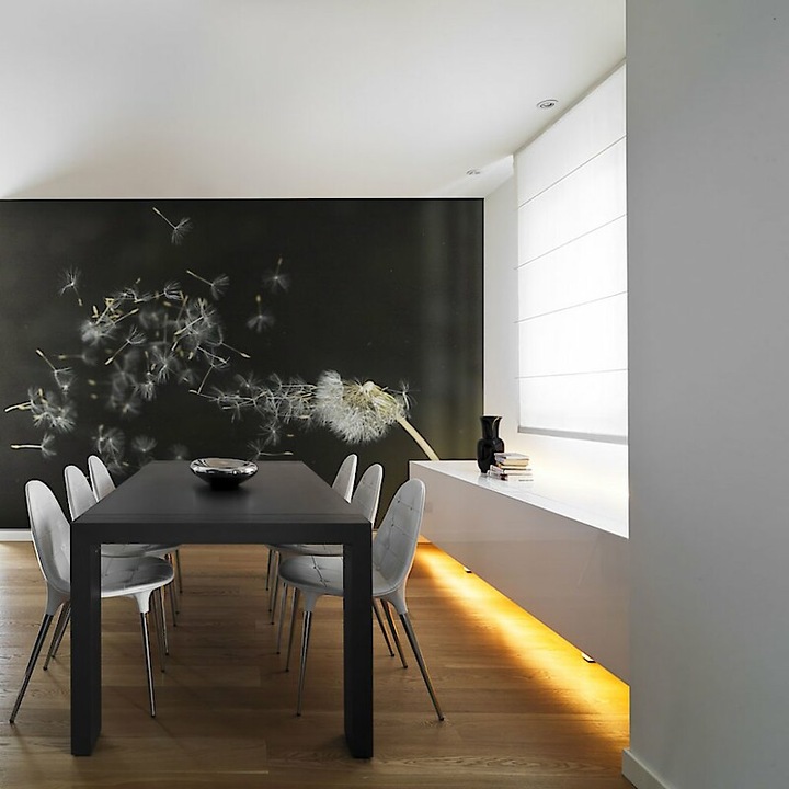 Fotótapéta - Szellő szárnyán 400x309