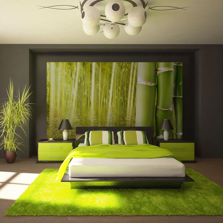 Fotótapéta - Egzotikus hangulatú bambusz 350x270, medinashop-1020626