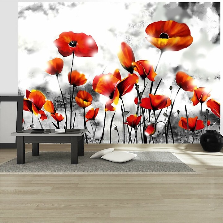 Fotótapéta -Felhők alatt 400x280